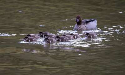 DSC_3652.jpg