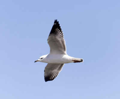 DSC_6569.jpg