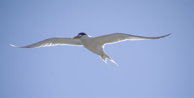 DSC_6582.jpg