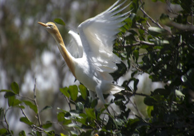 DSC_9675.jpg