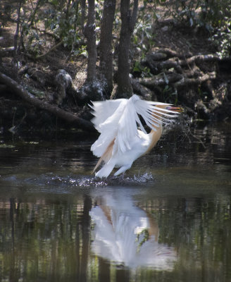 DSC_9682.jpg