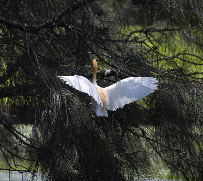 DSC_9685.jpg