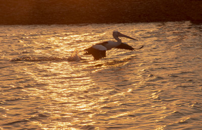 DSC_9830.jpg