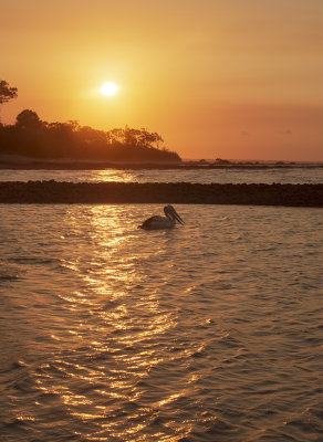 DSC_9825.jpg