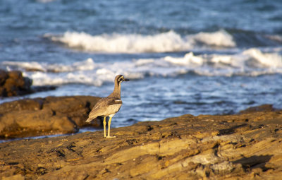 DSC_1956.jpg
