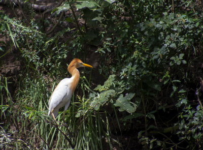 DSC_1402.jpg