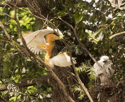 DSC_1418.jpg