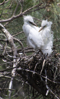 DSC_1452.jpg