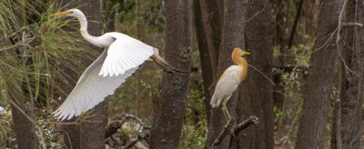 DSC_1474.jpg
