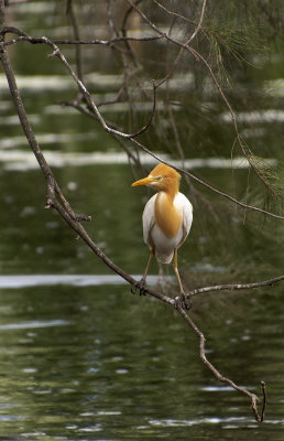 DSC_1480.jpg