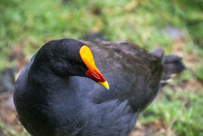 DSC_7671.jpg