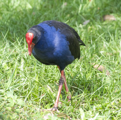 DSC_2756.jpg