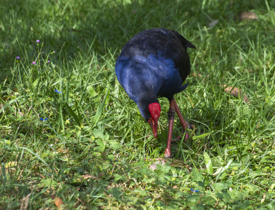 DSC_2757.jpg
