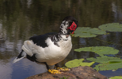 DSC_2769.jpg