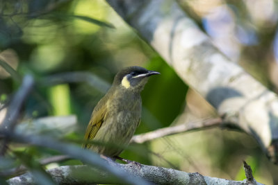 DSC_5129.jpg