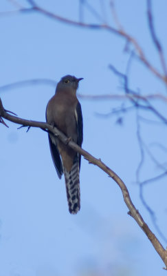 DSC_4812.jpg