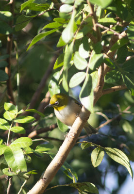 DSC_4814.jpg