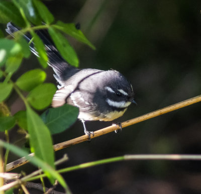 DSC_4830.jpg