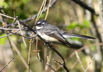 DSC_4843.jpg