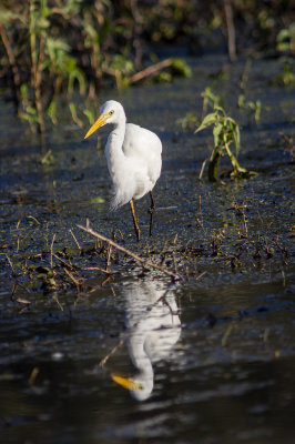 DSC_5244.jpg