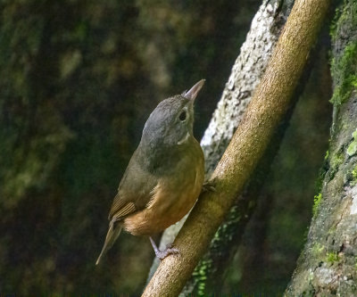 DSC_6422.jpg