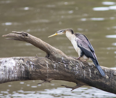 DSC_7122.jpg
