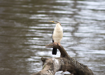 DSC_7165.jpg