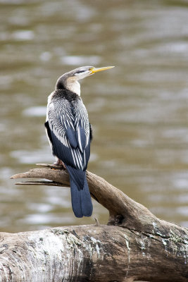DSC_7175.jpg