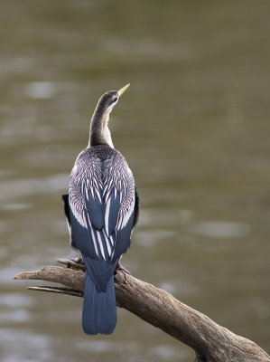 DSC_7181.jpg