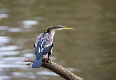 DSC_7182.jpg