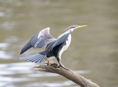 DSC_7197.jpg