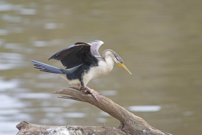 DSC_7198.jpg