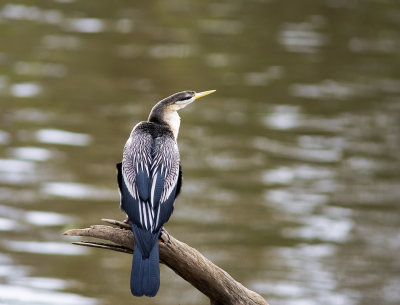 DSC_7179.jpg