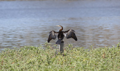 DSC_8552.jpg