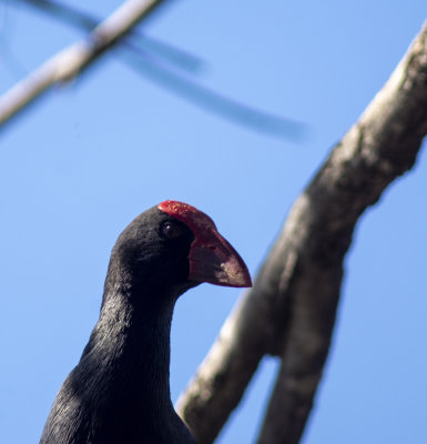 DSC_8582.jpg
