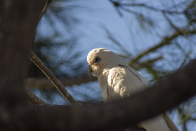 DSC_8603.jpg