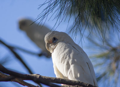 DSC_8604.jpg