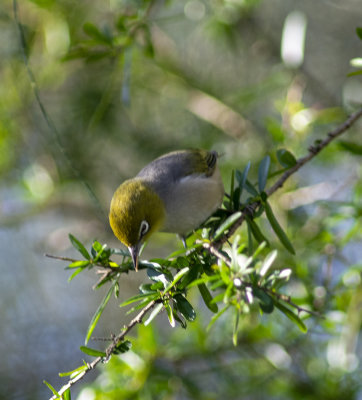 DSC_8635.jpg