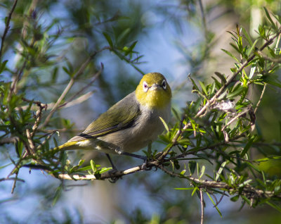 DSC_8639.jpg