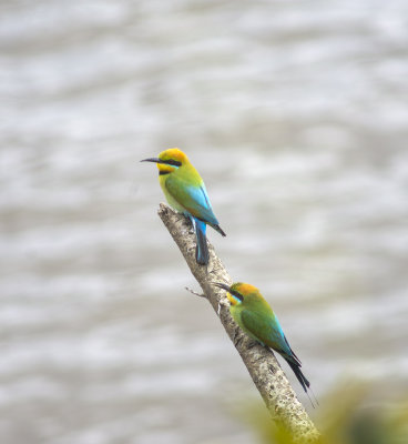 DSC_0471.jpg
