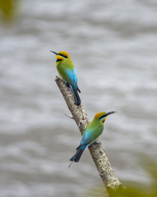 DSC_0482.jpg