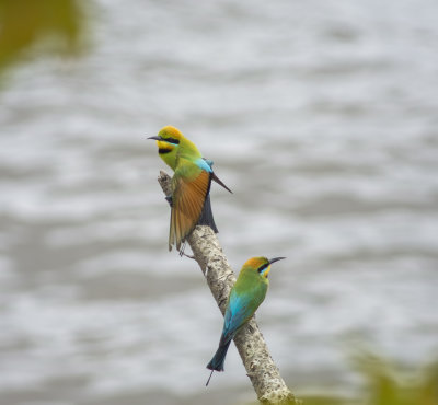 DSC_0485.jpg