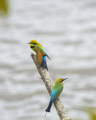 DSC_0486.jpg