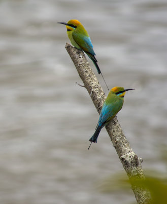 DSC_0495.jpg