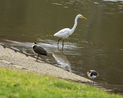 DSC_9065.jpg