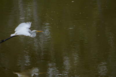 DSC_9073.jpg