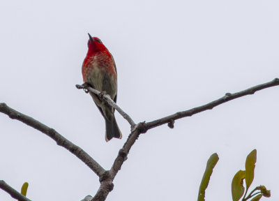 DSC_1293.jpg