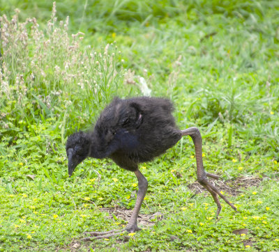 DSC_5115.jpg