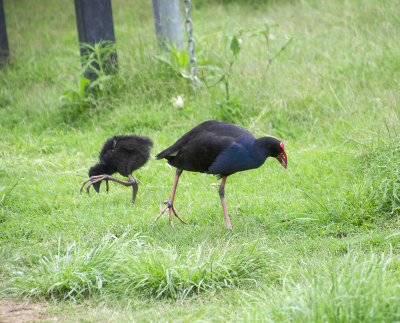 DSC_5120.jpg