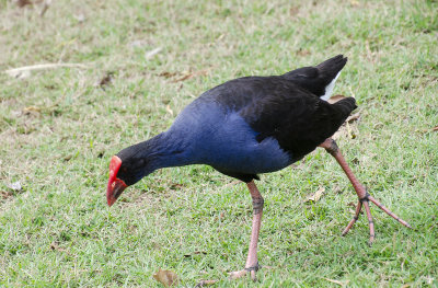 DSC_5123.jpg